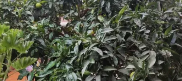 4 bedrooms House in Granada, Spain No. 174549 19