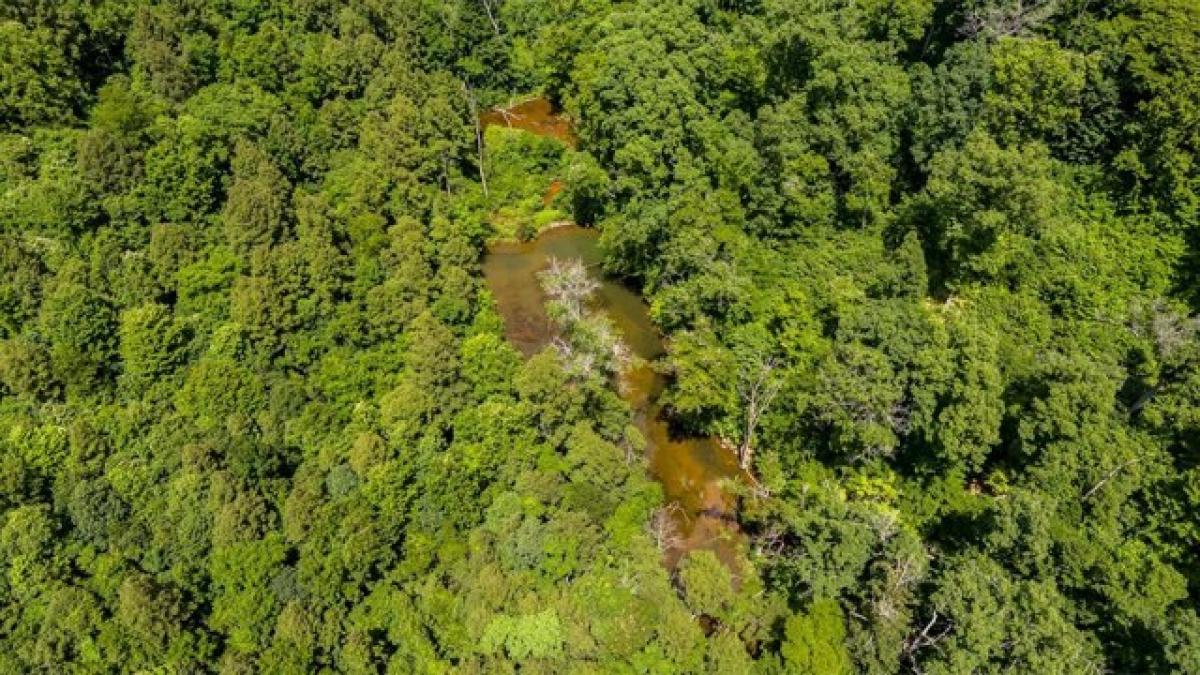 Grundstück in New Straitsville, USA, Nr. 554620