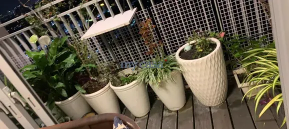 2 bedrooms Apartment in Thu Duc, Vietnam No. 8388 5