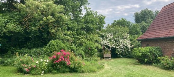 7 rooms House in Demmin, Germany No. 205650 2