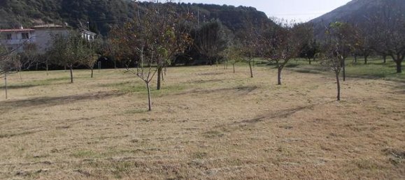 Grundstück in Onifai, Italy 9400m², Nr. 281328 2