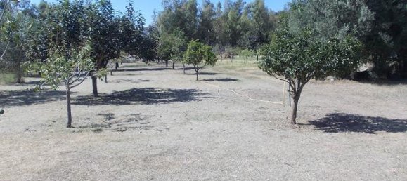 Grundstück in Onifai, Italy 9400m², Nr. 281328 3