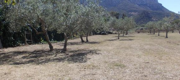 Grundstück in Onifai, Italy 9400m², Nr. 281328 4