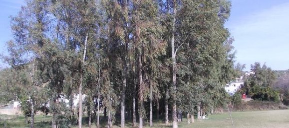 Grundstück in Onifai, Italy 9400m², Nr. 281328 5