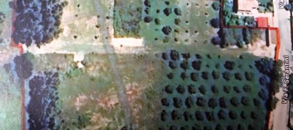 Grundstück in Onifai, Italy 9400m², Nr. 281328 6