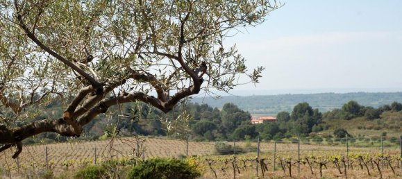 564m² Land in Garriguella, Spain No. 73561 6