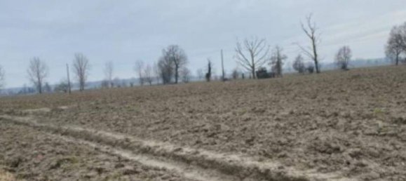 15605m² Commercial property in Senna Lodigiana, Italy No. 338404 10