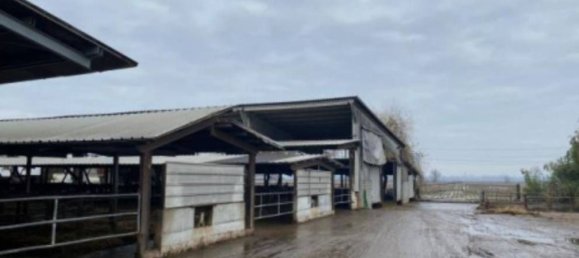 15605m² Commercial property in Senna Lodigiana, Italy No. 338404 7