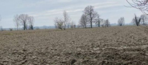 15605m² Commercial property in Senna Lodigiana, Italy No. 338404 11