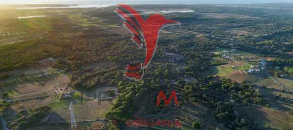 Terreno en Santiago do Cacem, Portugal 63500 m² No. 68693 3