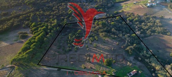 Terreno en Santiago do Cacem, Portugal 63500 m² No. 68693 4