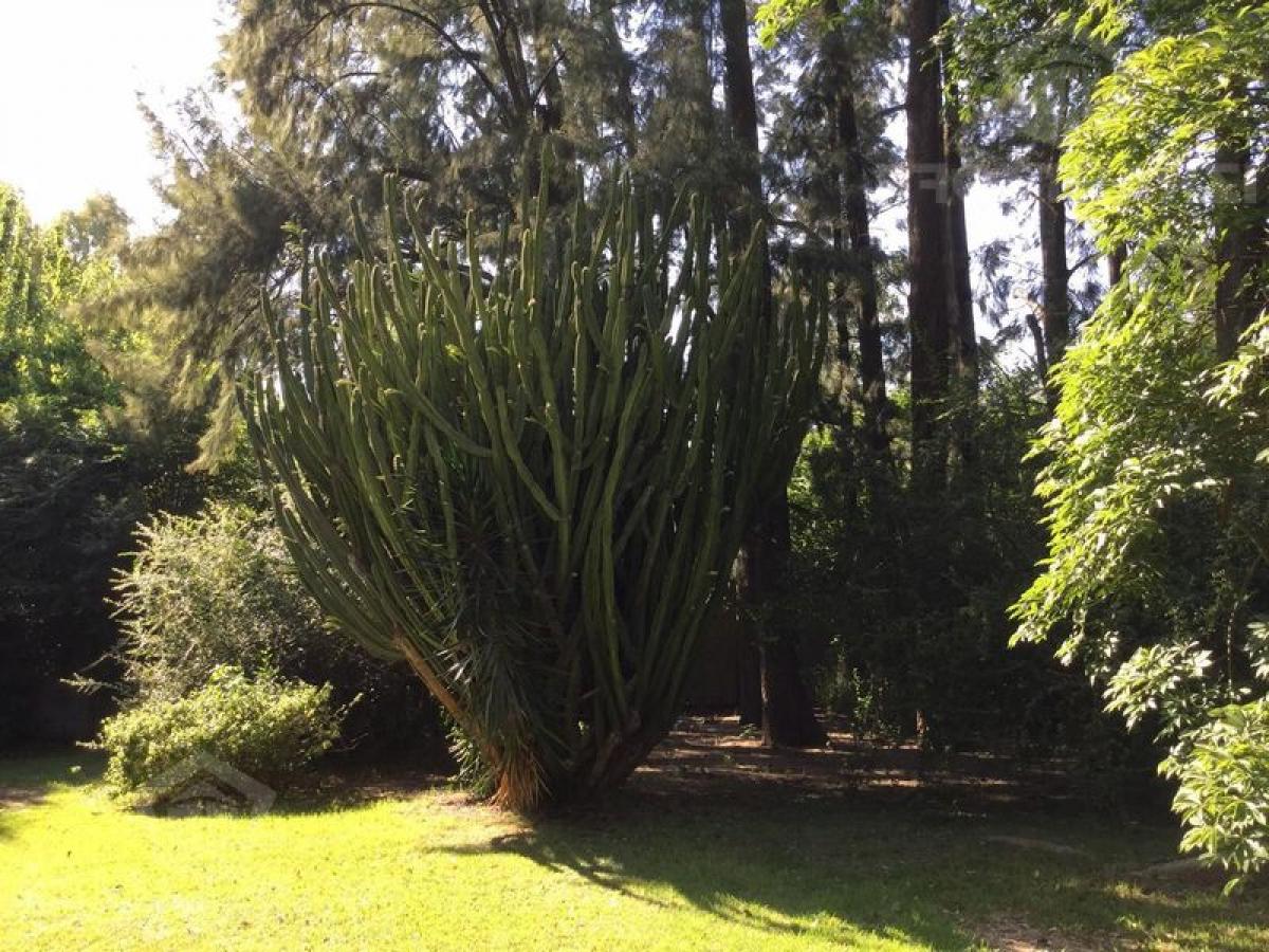 Terrain à Pilar, Argentina No. 36008