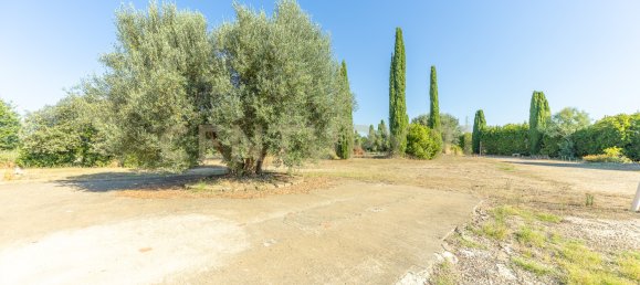 4 bedrooms House in Montalto di Castro, Italy No. 306633 23