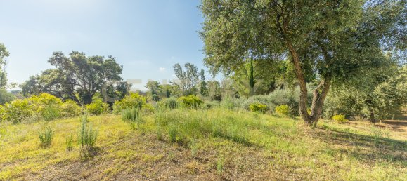 4 bedrooms House in Montalto di Castro, Italy No. 306633 13