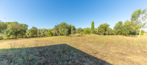 4 bedrooms House in Montalto di Castro, Italy No. 306633 21