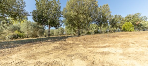 4 bedrooms House in Montalto di Castro, Italy No. 306633 18