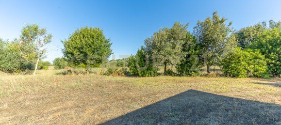 4 bedrooms House in Montalto di Castro, Italy No. 306633 24