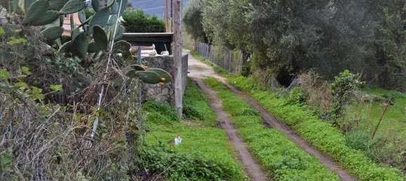 10000m² Hotel in Corfu, Greece No. 4414 9