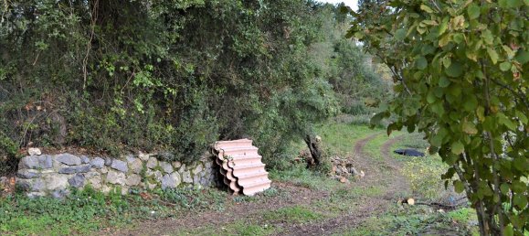 10000m² Hotel in Corfu, Greece No. 4414 8