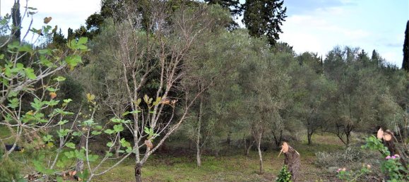 10000m² Hotel in Corfu, Greece No. 4414 3