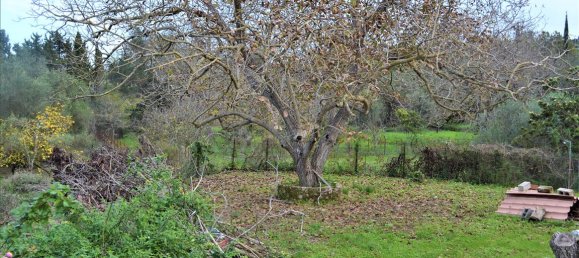 10000m² Hotel in Corfu, Greece No. 4414 5