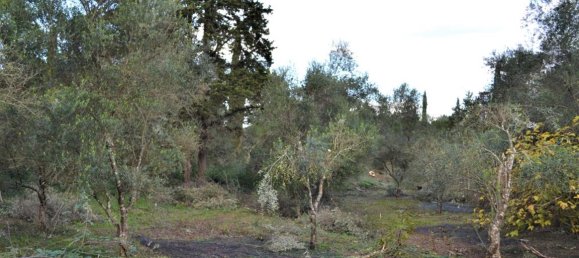 10000m² Hotel in Corfu, Greece No. 4414 7