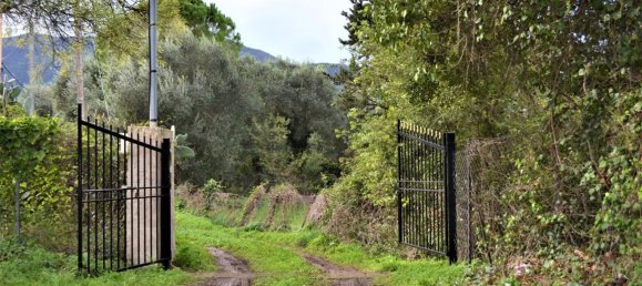 10000m² Hotel in Corfu, Greece No. 4414 6