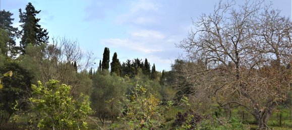 10000m² Hotel in Corfu, Greece No. 4414 2