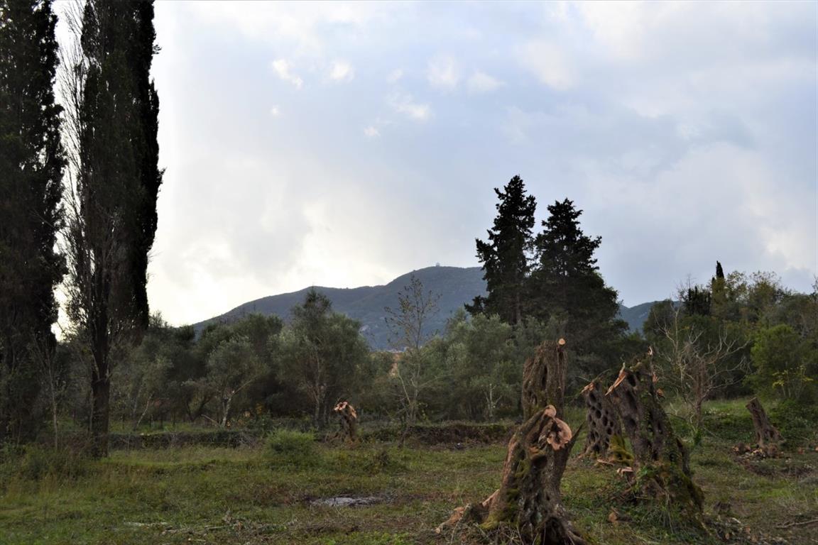 10000m² Hotel in Corfu, Greece No. 4414