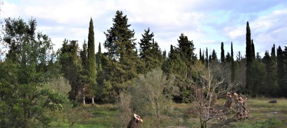 10000m² Hotel in Corfu, Greece No. 4414 4