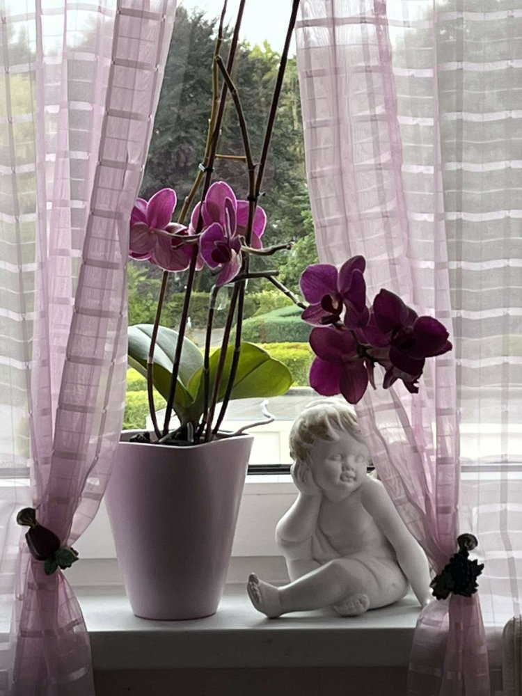 Apartamento T2 em Bielefeld, Germany N.º 333426