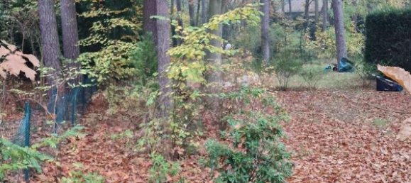 Terreno en Frohnau, Germany No. 44577 3