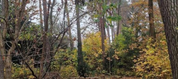 Terreno en Frohnau, Germany No. 44577 2