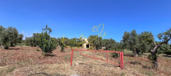 11 rooms Villa in Bari, Italy No. 251109 26