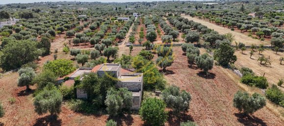 11 rooms Villa in Bari, Italy No. 251109 25