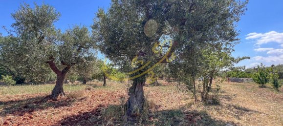 11 rooms Villa in Bari, Italy No. 251109 22