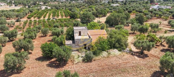 11 rooms Villa in Bari, Italy No. 251109 4