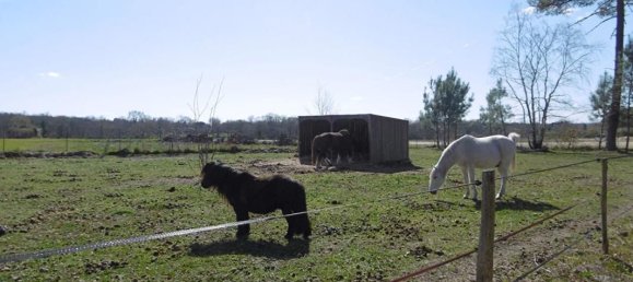 1 Schlafzimmer Schlösser in Langon, France, Nr. 103944 10