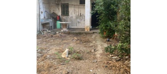 7 غرف نوم منزل في Gandia, Spain رقم 181411 14