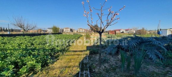 2 bedrooms Apartment in Santa Croce sull'Arno, Italy No. 74665 14