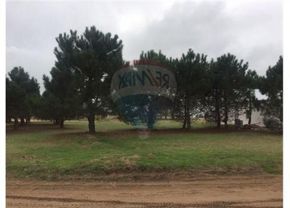  قطعة أرض في Mar del Plata, Argentina رقم 116675