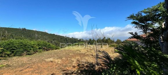 Land in Calheta, Portugal No. 111369 17