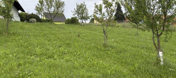 Terreno en Vasoldsberg, Austria No. 128622 2