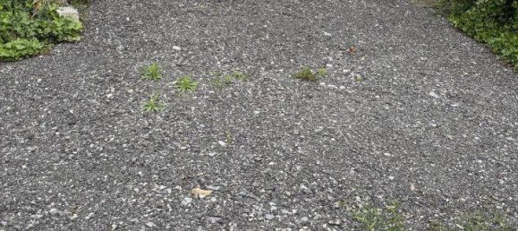 Terreno en Vasoldsberg, Austria No. 128622 4