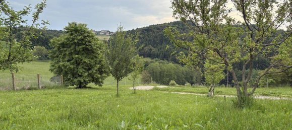 Terreno en Vasoldsberg, Austria No. 128622 5