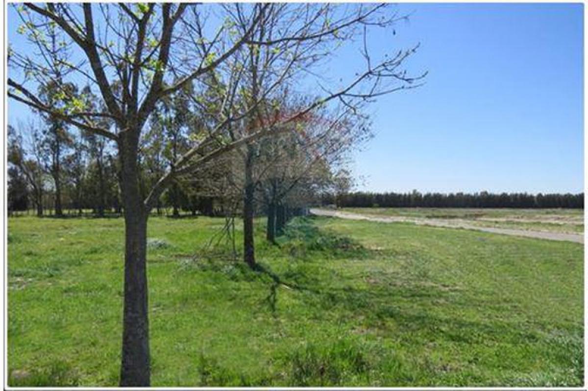  Land in Esteban Echeverria, Argentina No. 40451