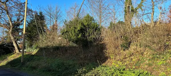 Terrain à Oberbergischer, Germany No. 173693 3