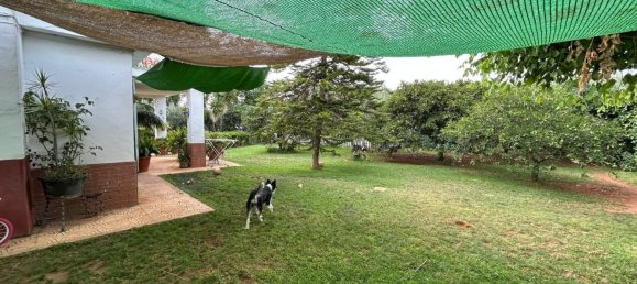 5 Schlafzimmer Haus in Andalusia, Spain, Nr. 167354 25