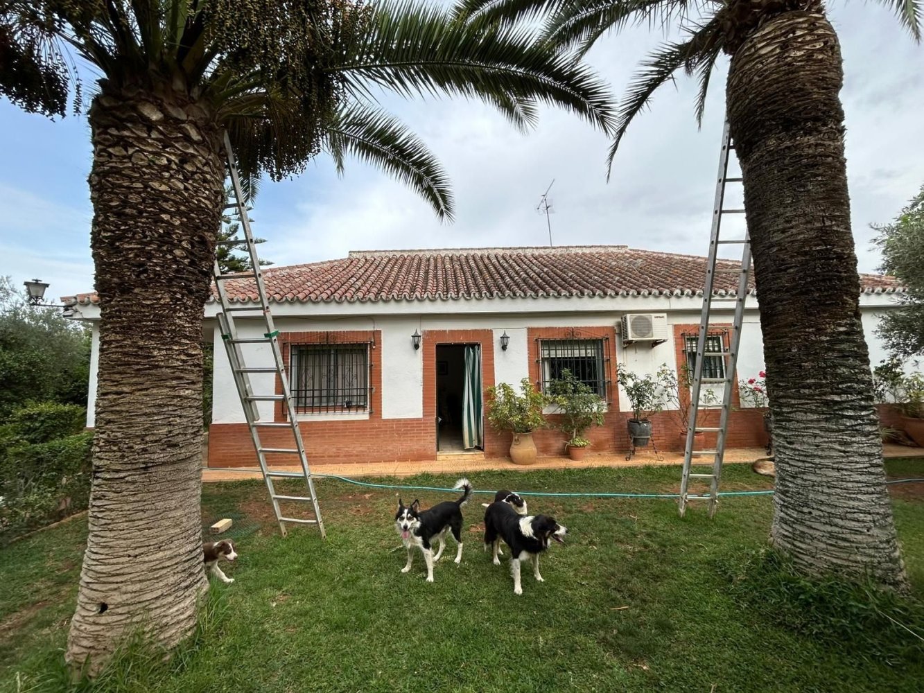 5 Schlafzimmer Haus in Andalusia, Spain, Nr. 167354