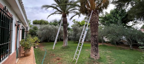 5 Schlafzimmer Haus in Andalusia, Spain, Nr. 167354 26